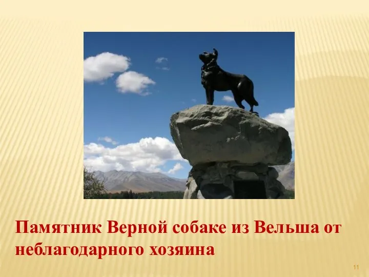 Памятник Верной собаке из Вельша от неблагодарного хозяина