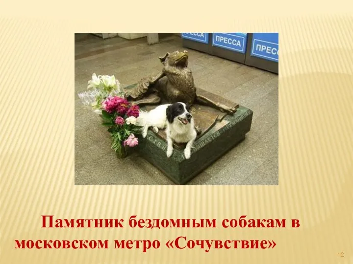 Памятник бездомным собакам в московском метро «Сочувствие»