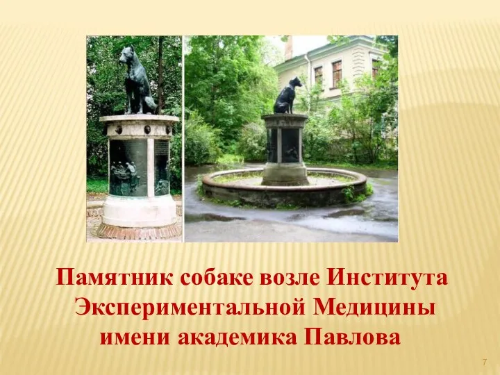 Памятник собаке возле Института Экспериментальной Медицины имени академика Павлова