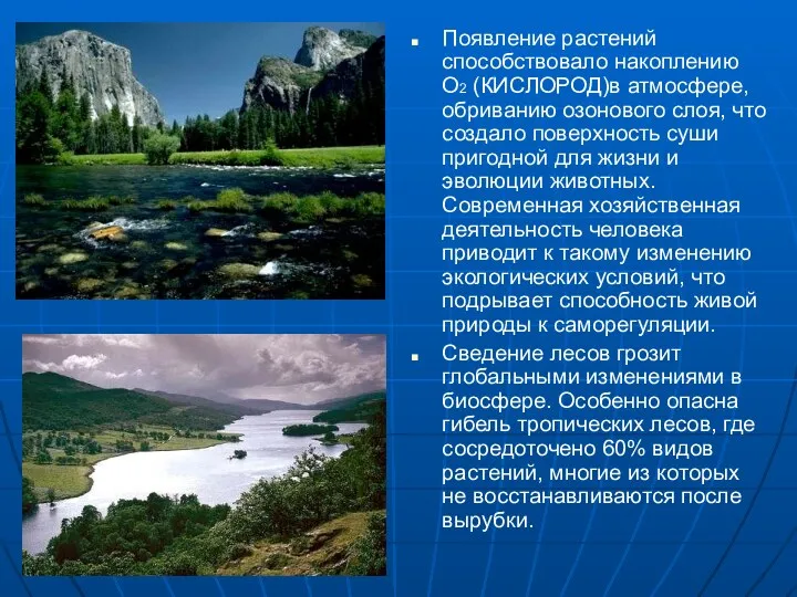 Появление растений способствовало накоплению О2 (КИСЛОРОД)в атмосфере, обриванию озонового слоя,