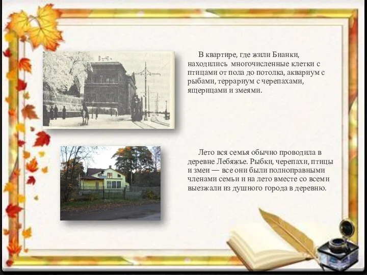 В квартире, где жили Бианки, находились многочисленные клетки с птицами