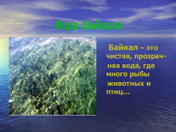 Вода Байкала Байкал – это чистая, прозрач- ная вода, где много рыбы животных и птиц…