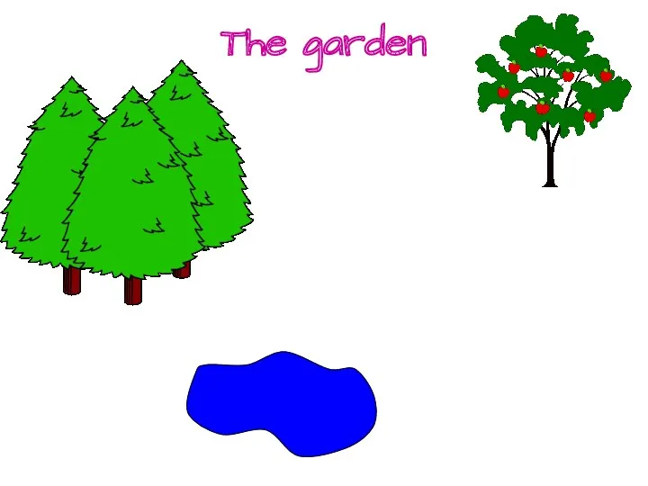 The garden