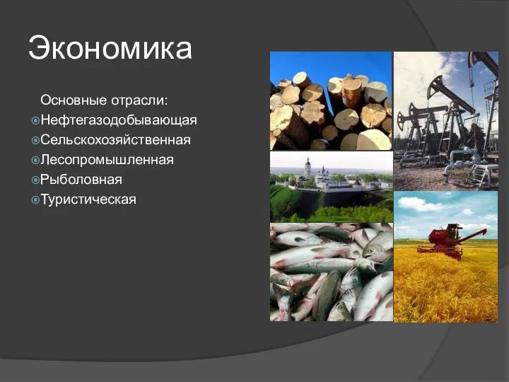 Экономика Основные отрасли: Нефтегазодобывающая Сельскохозяйственная Лесопромышленная Рыболовная Туристическая