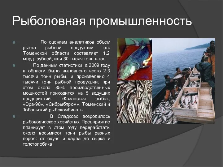 Рыболовная промышленность По оценкам аналитиков объем рынка рыбной продукции юга Тюменской области составляет
