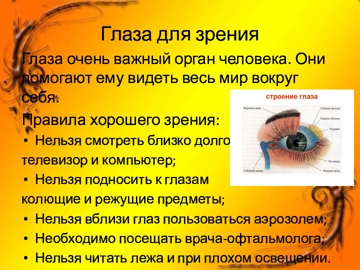 Глаза для зрения Глаза очень важный орган человека. Они помогают