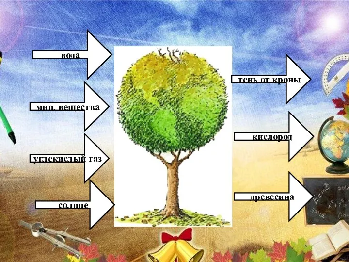 мин. вещества вода солнце древесина кислород тень от кроны углекислый газ