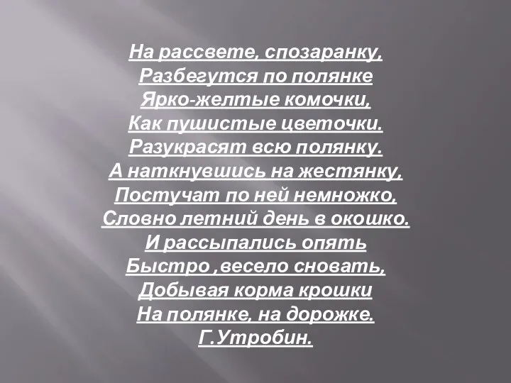 На рассвете, спозаранку, Разбегутся по полянке Ярко-желтые комочки, Как пушистые