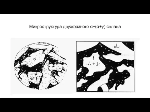 Микроструктура двухфазного α+(α+γ) сплава