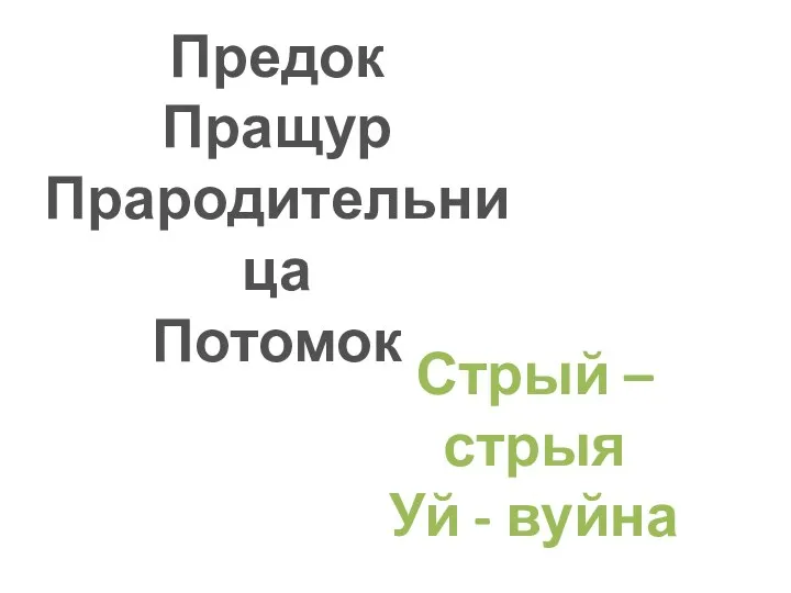 Предок Пращур Прародительница Потомок Стрый – стрыя Уй - вуйна