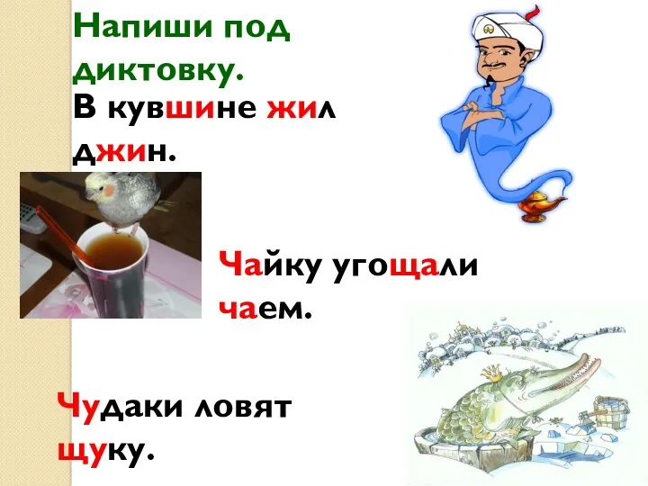 В кувшине жил джин. Чайку угощали чаем. Чудаки ловят щуку. Напиши под диктовку.