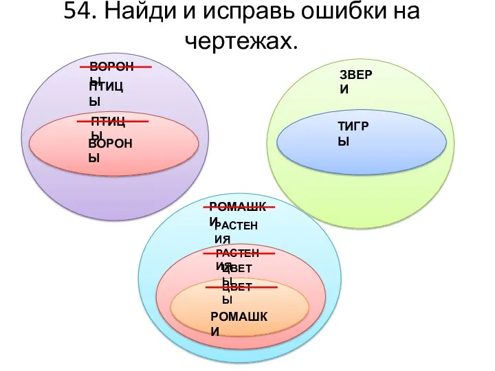 54. Найди и исправь ошибки на чертежах. ПТИЦЫ ВОРОНЫ ЗВЕРИ