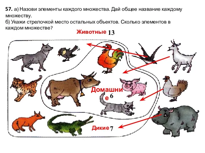 57. а) Назови элементы каждого множества. Дай общее название каждому