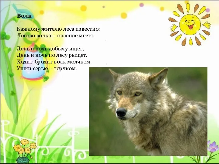 Волк Каждому жителю леса известно: Логово волка – опасное место.