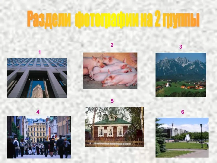 Раздели фотографии на 2 группы 1 2 3 4 5 6