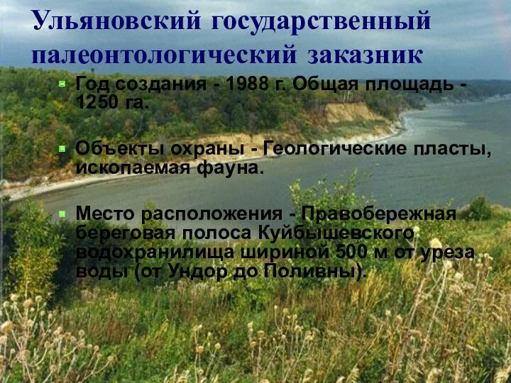 Ульяновский государственный палеонтологический заказник Год создания - 1988 г. Общая