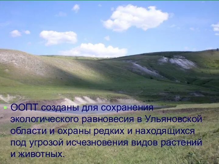 ООПТ созданы для сохранения экологического равновесия в Ульяновской области и