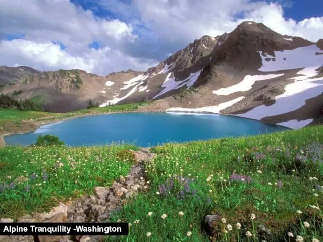 Alpine Tranquility -Washington