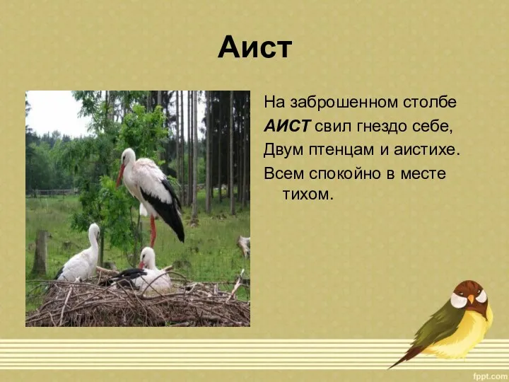 Аист На заброшенном столбе АИСТ свил гнездо себе, Двум птенцам