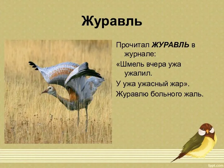 Журавль Прочитал ЖУРАВЛЬ в журнале: «Шмель вчера ужа ужалил. У ужа ужасный жар». Журавлю больного жаль.