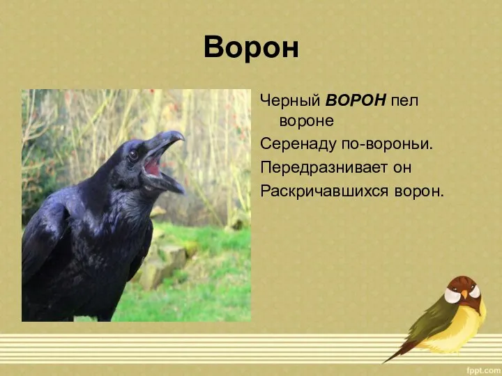 Ворон Черный ВОРОН пел вороне Серенаду по-вороньи. Передразнивает он Раскричавшихся ворон.