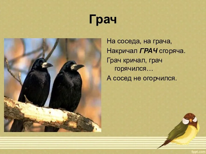 Грач На соседа, на грача, Накричал ГРАЧ сгоряча. Грач кричал, грач горячился… А сосед не огорчился.