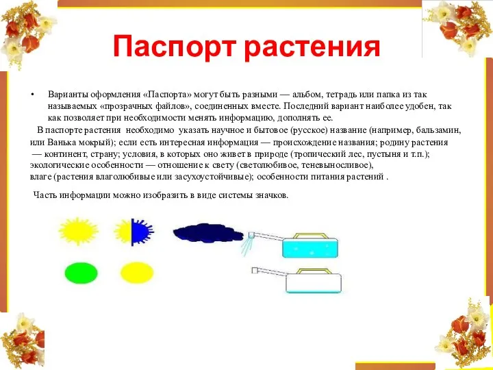 Варианты оформления «Паспорта» могут быть разными — альбом, тетрадь или