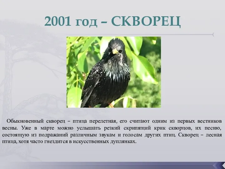 2001 год – СКВОРЕЦ Обыкновенный скворец – птица перелетная, его