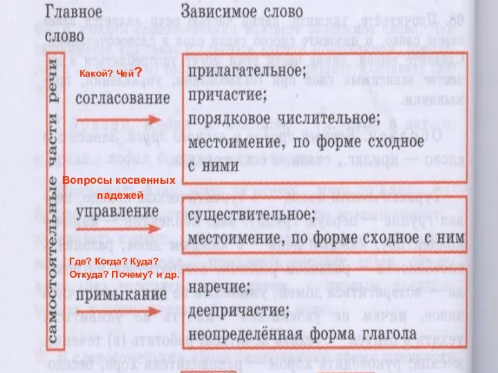 Типы подчинительной связи в словосочетании Какой? Чей? Вопросы косвенных падежей