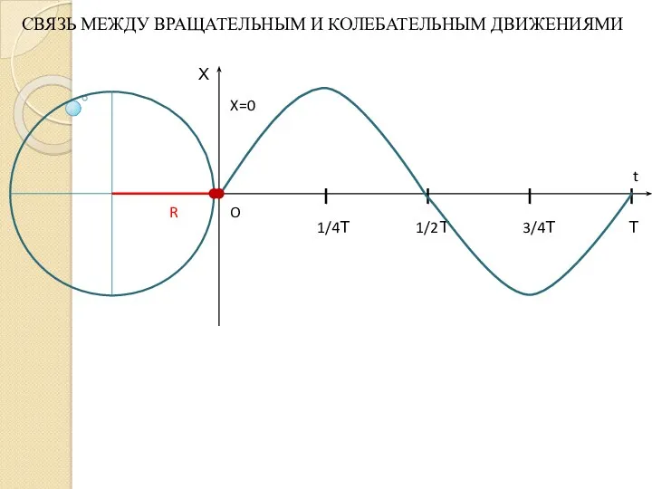 1/4Т 1/2Т 3/4Т Т Х t O R X=0 СВЯЗЬ МЕЖДУ ВРАЩАТЕЛЬНЫМ И КОЛЕБАТЕЛЬНЫМ ДВИЖЕНИЯМИ