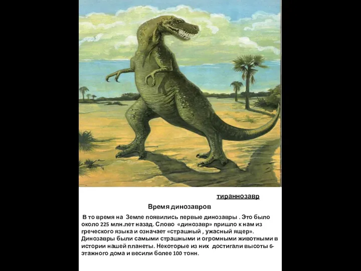 Время динозавров В то время на Земле появились первые динозавры