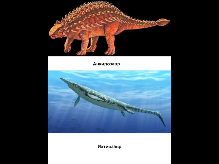 Ихтиозавр Анкилозавр