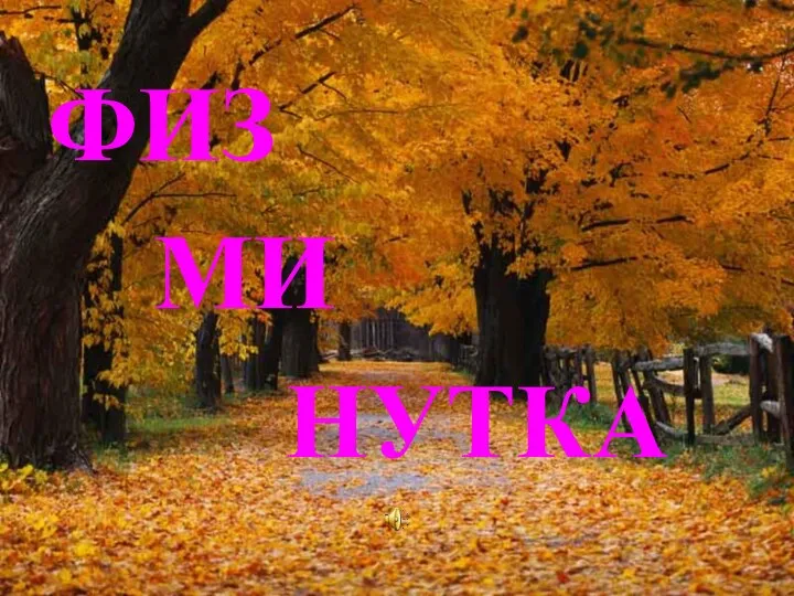 ФИЗ МИ НУТКА