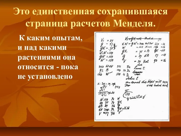 Это единственная сохранившаяся страница расчетов Менделя. К каким опытам, и