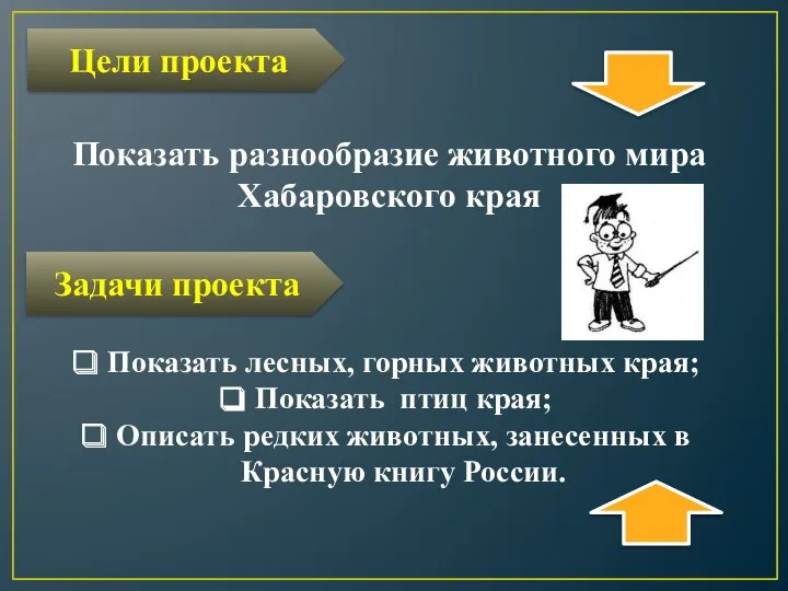 Цели проекта Задачи проекта Показать разнообразие животного мира Хабаровского края