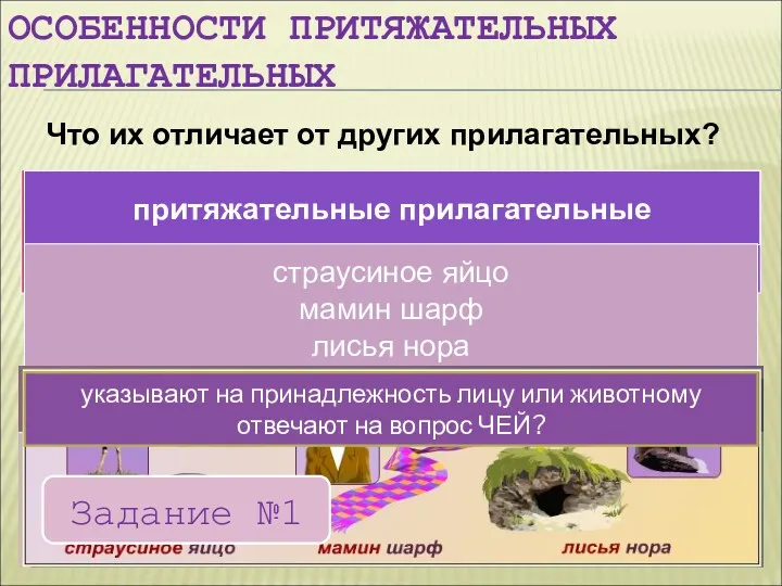 качественные прилагательные относительные прилагательные притяжательные прилагательные притяжательные прилагательные страусиное яйцо