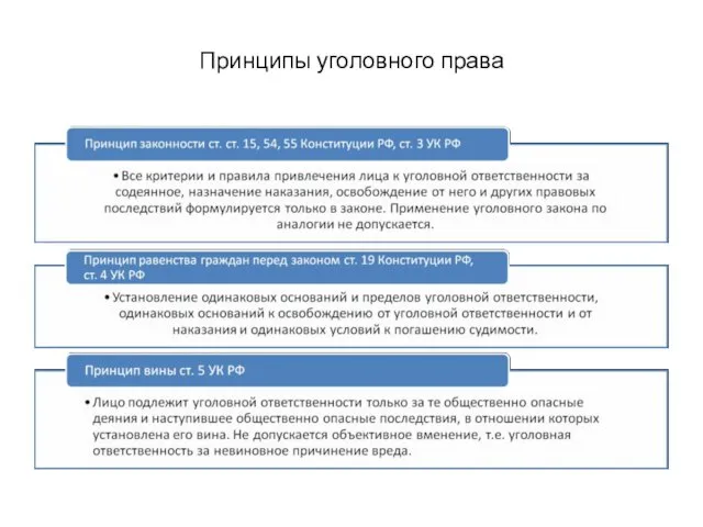 Принципы уголовного права