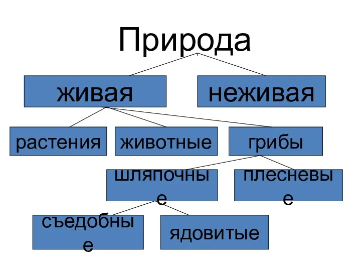 Природа живая неживая растения животные грибы шляпочные плесневые съедобные ядовитые