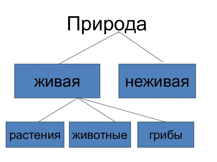 Природа живая неживая растения животные грибы