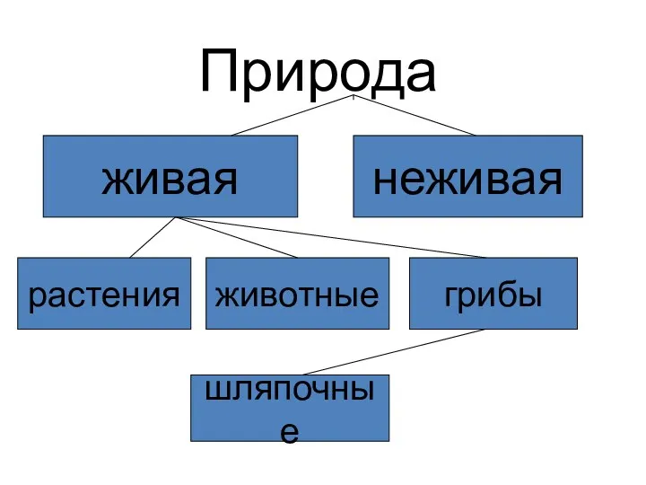 Природа живая неживая растения животные грибы шляпочные