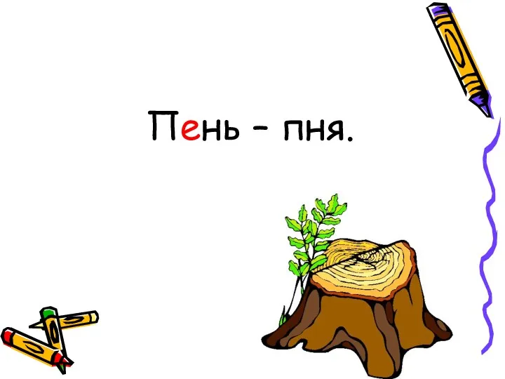 Пень – пня.