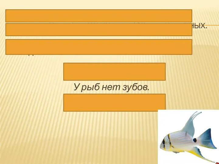 - Как правильно сказать? - Определите падеж и число существительных.