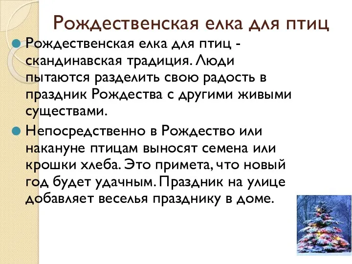 Рождественская елка для птиц Рождественская елка для птиц - скандинавская