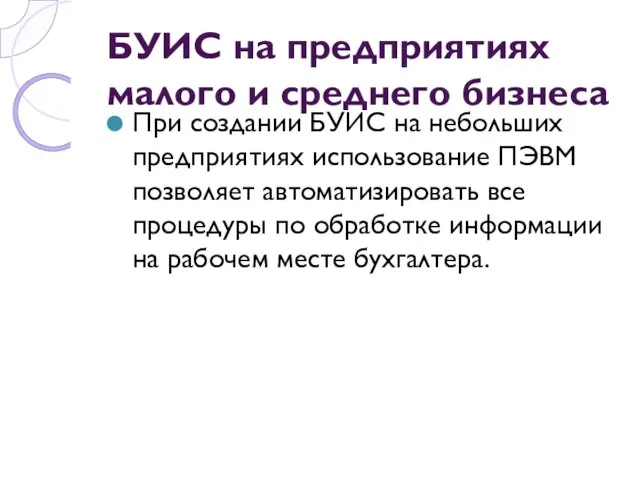 БУИС на предприятиях малого и среднего бизнеса При создании БУИС