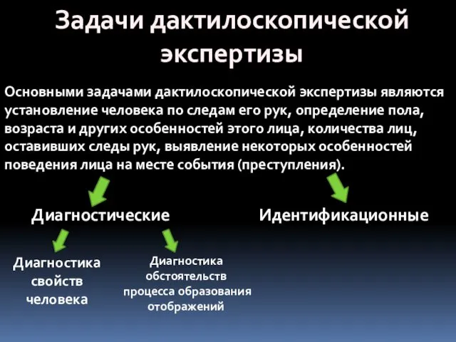 Задачи дактилоскопической экспертизы Основными задачами дактилоскопической экспертизы являются установление человека