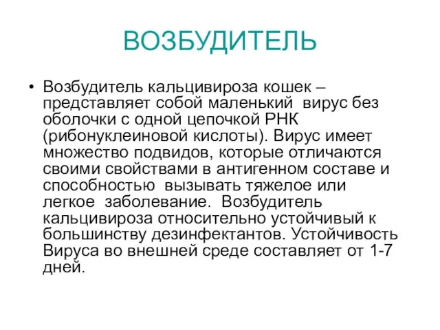 ВОЗБУДИТЕЛЬ Возбудитель кальцивироза кошек – представляет собой маленький вирус без