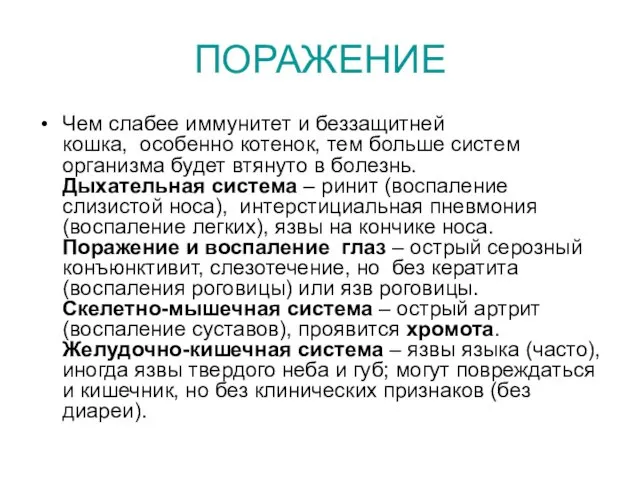 ПОРАЖЕНИЕ Чем слабее иммунитет и беззащитней кошка, особенно котенок, тем