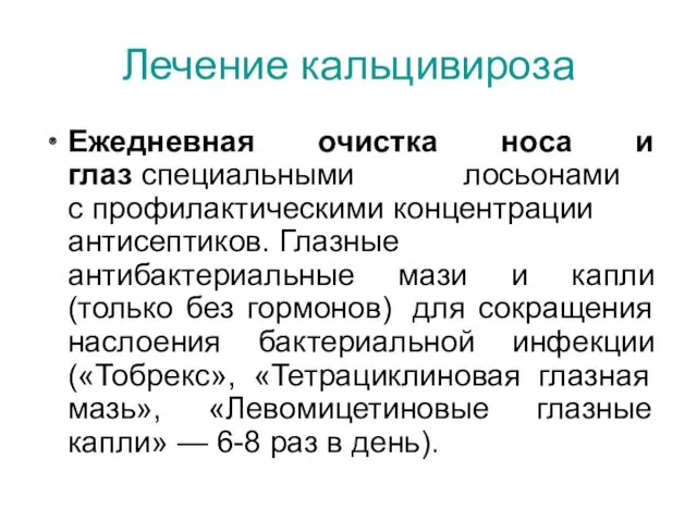 Лечение кальцивироза Ежедневная очистка носа и глаз специальными лосьонами с