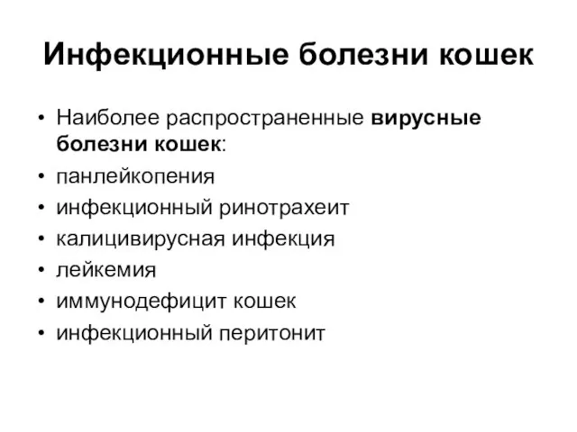 Инфекционные болезни кошек Наиболее распространенные вирусные болезни кошек: панлейкопения инфекционный