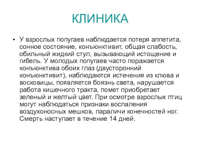 КЛИНИКА У взрослых попугаев наблюдается потеря аппетита, сонное состояние, конъюнктивит,